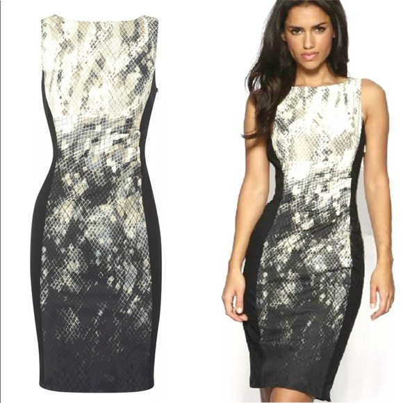 KAREN MILLEN Ombré Snake Print Pencil Dress 2 EU34 - Picture 8 of 8